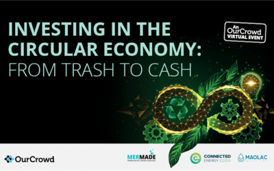 Investing in the Circular Economy